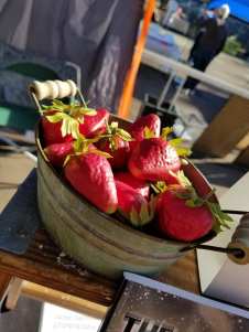 Strawberry Festival 4